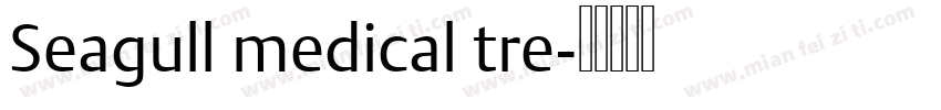 Seagull medical tre字体转换